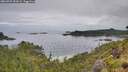 ./images/calvert/foggy-cove/20260703/foggy-cove20260703_083001M.jpg