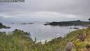 ./images/calvert/foggy-cove/20260703/foggy-cove20260703_083501M.jpg