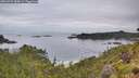 ./images/calvert/foggy-cove/20260703/foggy-cove20260703_084001M.jpg