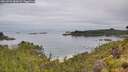 ./images/calvert/foggy-cove/20260703/foggy-cove20260703_084501M.jpg