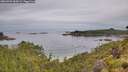 ./images/calvert/foggy-cove/20260703/foggy-cove20260703_085001M.jpg