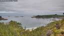 ./images/calvert/foggy-cove/20260703/foggy-cove20260703_091001M.jpg