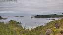 ./images/calvert/foggy-cove/20260703/foggy-cove20260703_091501M.jpg