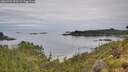 ./images/calvert/foggy-cove/20260703/foggy-cove20260703_093501M.jpg