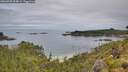 ./images/calvert/foggy-cove/20260703/foggy-cove20260703_094001M.jpg