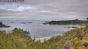./images/calvert/foggy-cove/20260703/foggy-cove20260703_094501M.jpg