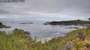 ./images/calvert/foggy-cove/20260703/foggy-cove20260703_100501M.jpg