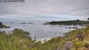 ./images/calvert/foggy-cove/20260703/foggy-cove20260703_101002M.jpg
