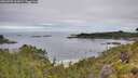 ./images/calvert/foggy-cove/20260703/foggy-cove20260703_102001M.jpg