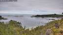 ./images/calvert/foggy-cove/20260703/foggy-cove20260703_103001M.jpg