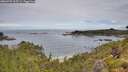 ./images/calvert/foggy-cove/20260703/foggy-cove20260703_103501M.jpg