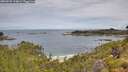 ./images/calvert/foggy-cove/20260703/foggy-cove20260703_110001M.jpg
