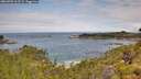 ./images/calvert/foggy-cove/20260703/foggy-cove20260703_111501M.jpg