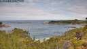 ./images/calvert/foggy-cove/20260703/foggy-cove20260703_112002M.jpg