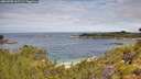 ./images/calvert/foggy-cove/20260703/foggy-cove20260703_112501M.jpg