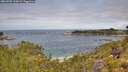 ./images/calvert/foggy-cove/20260703/foggy-cove20260703_113001M.jpg