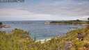 ./images/calvert/foggy-cove/20260703/foggy-cove20260703_113501M.jpg