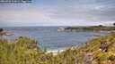 ./images/calvert/foggy-cove/20260703/foggy-cove20260703_114001M.jpg