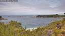 ./images/calvert/foggy-cove/20260703/foggy-cove20260703_114502M.jpg