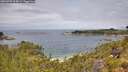 ./images/calvert/foggy-cove/20260703/foggy-cove20260703_115002M.jpg