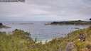 ./images/calvert/foggy-cove/20260703/foggy-cove20260703_115502M.jpg