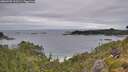 ./images/calvert/foggy-cove/20260703/foggy-cove20260703_123501M.jpg