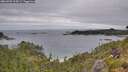 ./images/calvert/foggy-cove/20260703/foggy-cove20260703_124501M.jpg