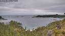 ./images/calvert/foggy-cove/20260703/foggy-cove20260703_125001M.jpg