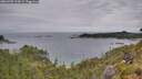 ./images/calvert/foggy-cove/20260703/foggy-cove20260703_133002M.jpg