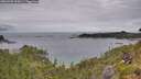 ./images/calvert/foggy-cove/20260703/foggy-cove20260703_134501M.jpg