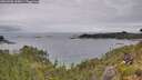 ./images/calvert/foggy-cove/20260703/foggy-cove20260703_135001M.jpg