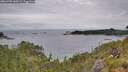 ./images/calvert/foggy-cove/20260703/foggy-cove20260703_140501M.jpg
