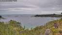 ./images/calvert/foggy-cove/20260703/foggy-cove20260703_142501M.jpg