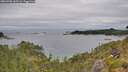 ./images/calvert/foggy-cove/20260703/foggy-cove20260703_145501M.jpg