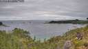 ./images/calvert/foggy-cove/20260703/foggy-cove20260703_155501M.jpg