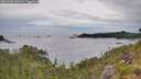 ./images/calvert/foggy-cove/20260703/foggy-cove20260703_162001M.jpg