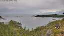 ./images/calvert/foggy-cove/20260703/foggy-cove20260703_171002M.jpg