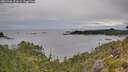 ./images/calvert/foggy-cove/20260703/foggy-cove20260703_172001M.jpg
