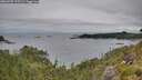 ./images/calvert/foggy-cove/20260703/foggy-cove20260703_175501M.jpg