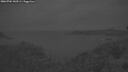 ./images/calvert/foggy-cove/20260704/foggy-cove20260704_043501M.jpg