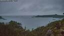 ./images/calvert/foggy-cove/20260704/foggy-cove20260704_051001M.jpg