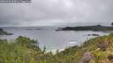./images/calvert/foggy-cove/20260704/foggy-cove20260704_094001M.jpg