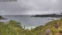./images/calvert/foggy-cove/20260704/foggy-cove20260704_094501M.jpg