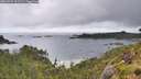 ./images/calvert/foggy-cove/20260704/foggy-cove20260704_101501M.jpg