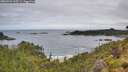 ./images/calvert/foggy-cove/20260704/foggy-cove20260704_105501M.jpg