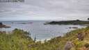 ./images/calvert/foggy-cove/20260704/foggy-cove20260704_110001M.jpg