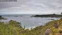 ./images/calvert/foggy-cove/20260704/foggy-cove20260704_111001M.jpg