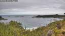 ./images/calvert/foggy-cove/20260704/foggy-cove20260704_112002M.jpg