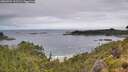 ./images/calvert/foggy-cove/20260704/foggy-cove20260704_112501M.jpg