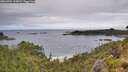 ./images/calvert/foggy-cove/20260704/foggy-cove20260704_113001M.jpg